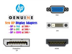 HP DisplayPort to DVI Adapter