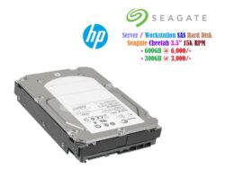 Server SAS Hard Disk