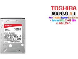 Toshiba Portable
