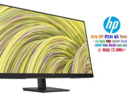 HP P24v G5 Monitor
